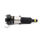 Arnott Industries Air Suspension Strut AS-2865