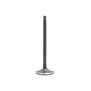 DNJ Engine Intake Valve IV469