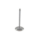 DNJ Engine Intake Valve IV3215A