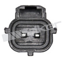 Walker Products Fuel Injection Idle Air Control Valve 215-2062 - view 4