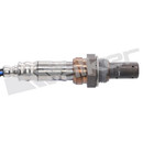 Walker Products Oxygen Sensor 250-54106 - view 3