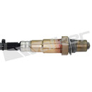 Walker Products Oxygen Sensor 350-34556 - view 4