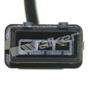 Walker Products Engine Crankshaft Position Sensor 235-1537 - view 6