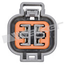 Walker Products Oxygen Sensor 350-34628 - view 2