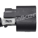 Walker Products Exhaust Gas Temperature (EGT) Sensor 273-10002 - view 3