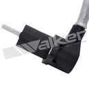 Walker Products Engine Crankshaft Position Sensor 235-1347 - view 2
