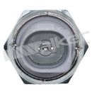 Walker Products Engine Oil Pressure Switch 256-1144 - view 3