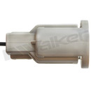 Walker Products Oxygen Sensor 350-31020 - view 6