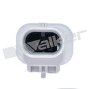 Walker Products Exhaust Gas Temperature (EGT) Sensor 273-10408 - view 2