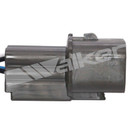 Walker Products Oxygen Sensor 250-24240 - view 6