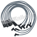 Walker Products Spark Plug Wire Set 924-1404