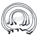 Walker Products Spark Plug Wire Set 924-2036