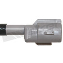 Walker Products Oxygen Sensor 350-32001 - view 4