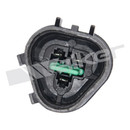 Walker Products Engine Crankshaft Position Sensor 235-1166 - view 3