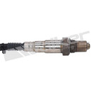 Walker Products Oxygen Sensor 250-25031 - view 2