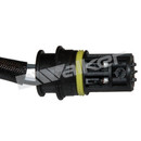 Walker Products Oxygen Sensor 350-34060 - view 4