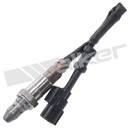 Walker Products Oxygen Sensor 250-54111