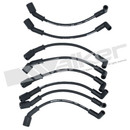 Walker Products Spark Plug Wire Set 924-6005