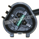 Walker Products Engine Crankshaft Position Sensor 235-1405 - view 2
