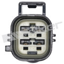 Walker Products Oxygen Sensor 350-64038 - view 3