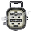 Walker Products Oxygen Sensor 350-341053 - view 4