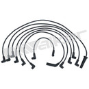 Walker Products Spark Plug Wire Set 924-1361
