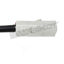 Walker Products Oxygen Sensor 350-33019 - view 3