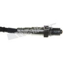 Walker Products Oxygen Sensor 250-25095 - view 7