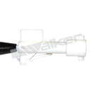Walker Products Oxygen Sensor 350-33083 - view 2