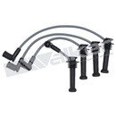 Walker Products Spark Plug Wire Set 924-1926 - view 2