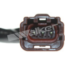 Walker Products Oxygen Sensor 250-23507 - view 4