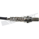 Walker Products Oxygen Sensor 350-34282 - view 3