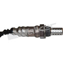 Walker Products Oxygen Sensor 350-34558 - view 2