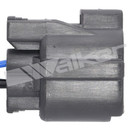 Walker Products Oxygen Sensor 250-24398 - view 3