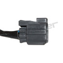 Walker Products Oxygen Sensor 350-64042 - view 2