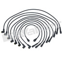 Walker Products Spark Plug Wire Set 924-1396 - view 2
