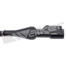 Walker Products Exhaust Gas Temperature (EGT) Sensor 273-10339 - view 6