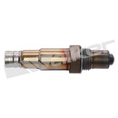 Walker Products Oxygen Sensor 350-34601 - view 4