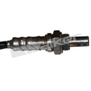 Walker Products Oxygen Sensor 350-34481 - view 3