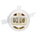 Walker Products Oxygen Sensor 250-22002 - view 6