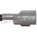 Walker Products Oxygen Sensor 350-32015 - view 4