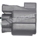 Walker Products Oxygen Sensor 250-24343 - view 3