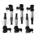 Walker Products Ignition Coil Set 928-4083-6 - view 6