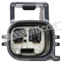 Walker Products Engine Coolant Temperature Sensor 211-2094 - view 2
