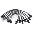 Walker Products Spark Plug Wire Set 924-1342