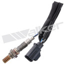 Walker Products Oxygen Sensor 250-24509