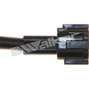 Walker Products Oxygen Sensor 350-34032 - view 6
