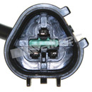 Walker Products Engine Crankshaft Position Sensor 235-1422 - view 4