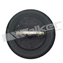 Walker Products Engine Oil Pressure Switch 256-1181 - view 3