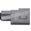 Walker Products Oxygen Sensor 250-241296 - view 6